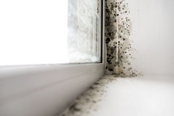 humidité autour des fenêtres 